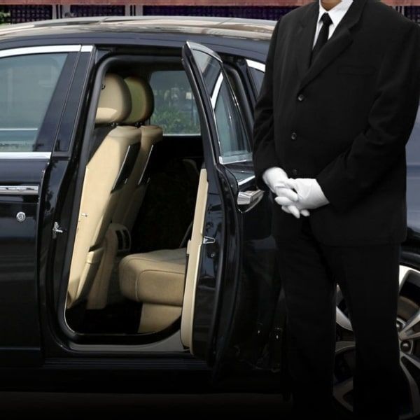 Professional Security Team