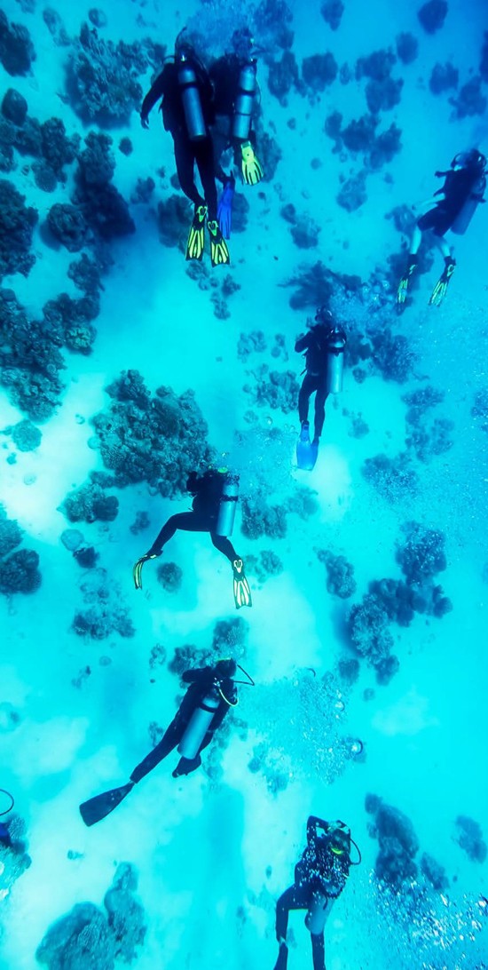 Discover Scuba Diving