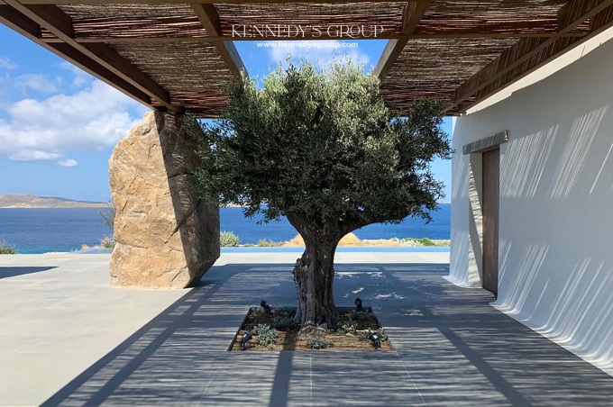 Villa Noema gallery image