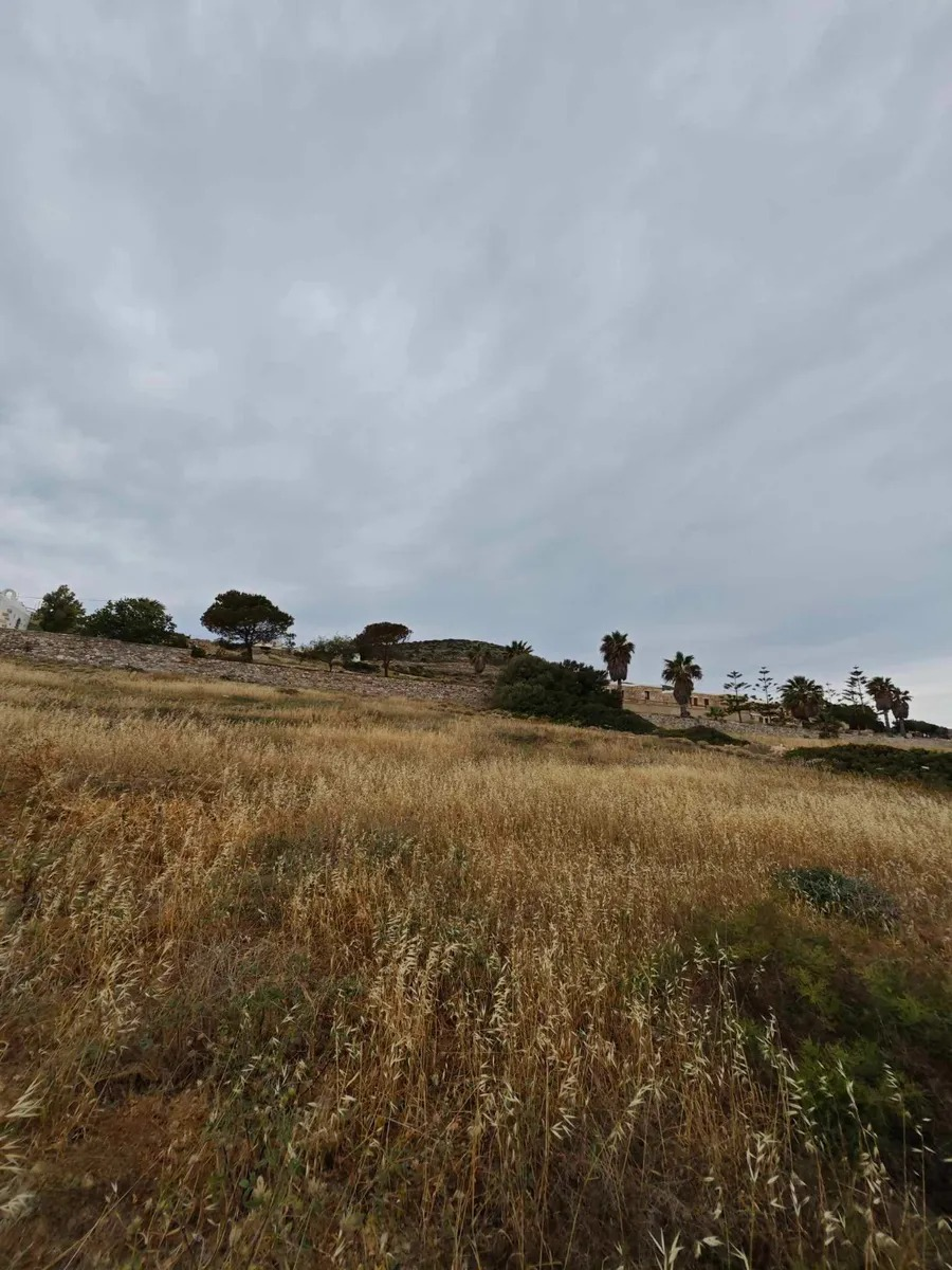 Aegean Slopes Antiparos - Image 4